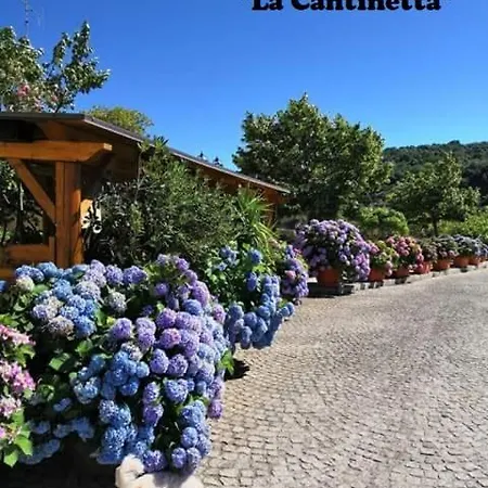公寓 Badolato Casa Vacanze 3 Matrimoniali *