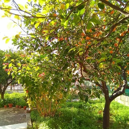 公寓 Badolato Casa Vacanze 3 Matrimoniali *